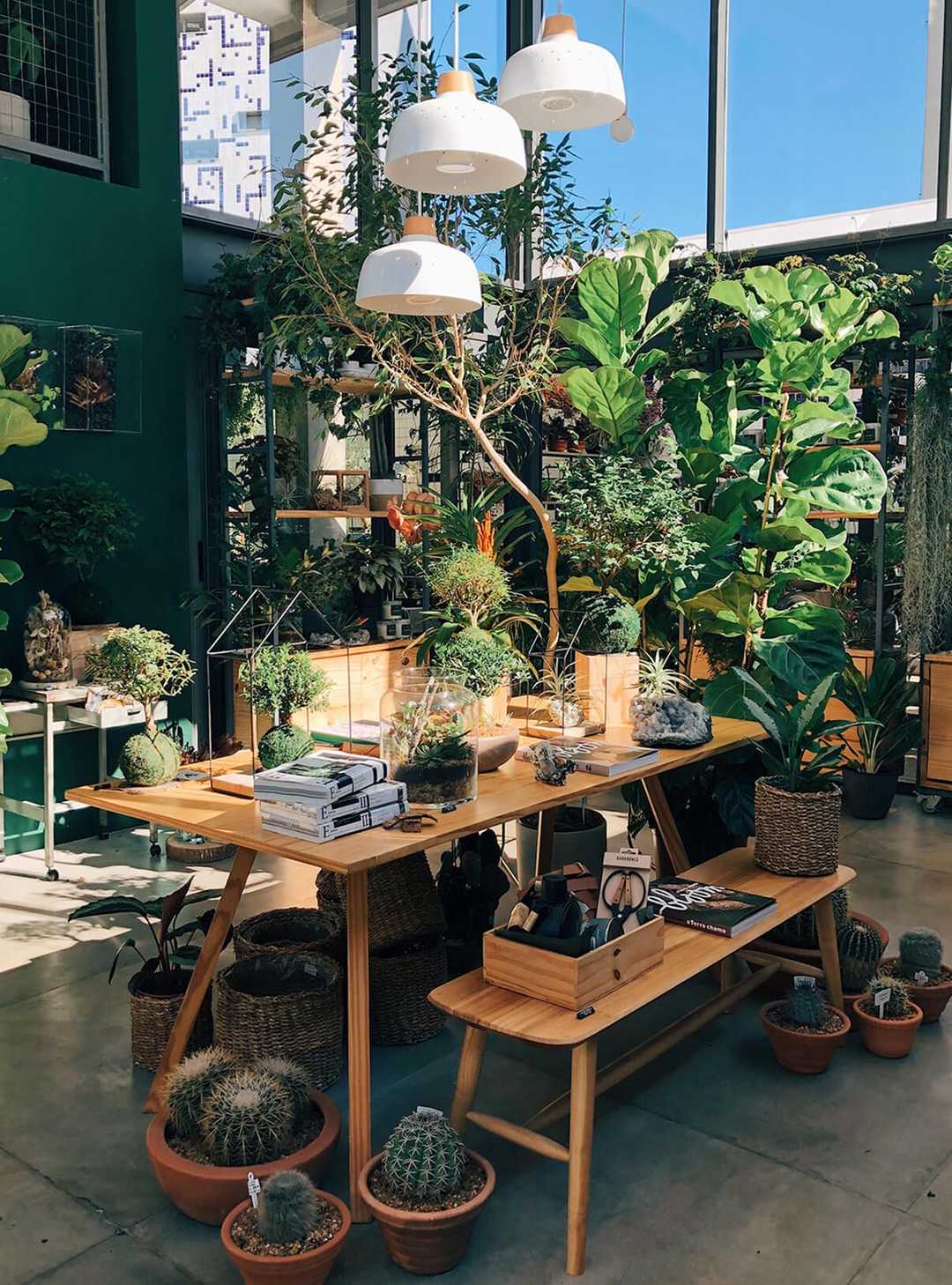 Vista interna da loja FLO Atelier Botânico